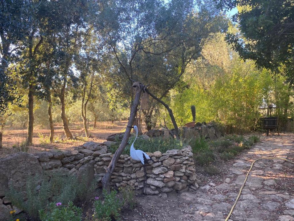 Casa Margherita Càbras Esterno foto